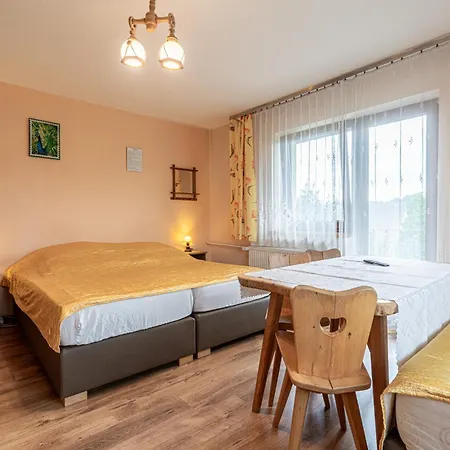 Goscinne Pod Grapa Pansiyon *