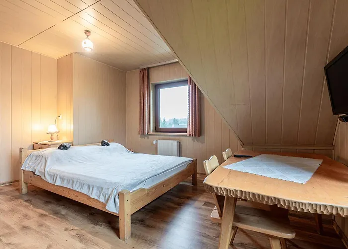 Goscinne Pod Grapa Zakopane