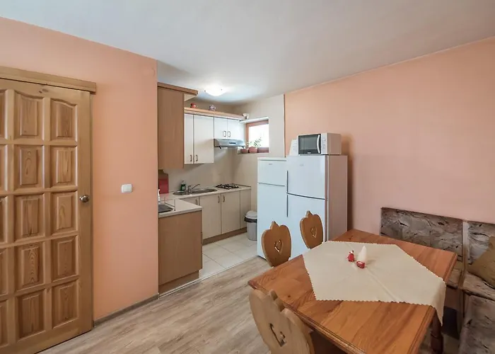 Goscinne Pod Grapa 民宿 扎科帕内